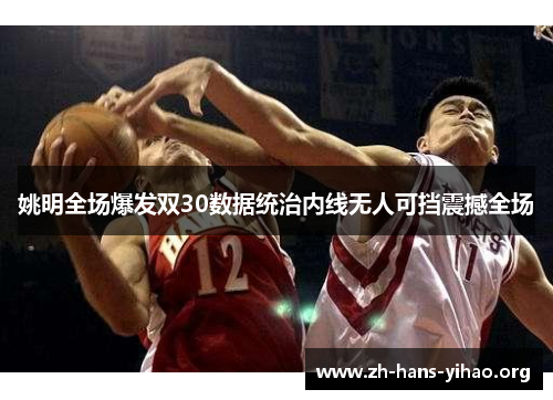 姚明全场爆发双30数据统治内线无人可挡震撼全场 姚明全场爆发双30数据统治内线无人可挡震撼全场