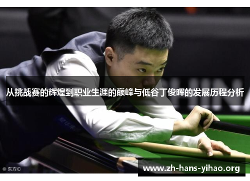 从挑战赛的辉煌到职业生涯的巅峰与低谷丁俊晖的发展历程分析