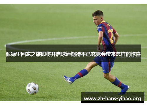 佩德里回家之旅即将开启球迷期待不已究竟会带来怎样的惊喜