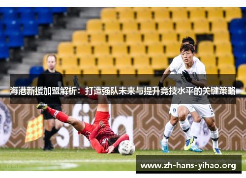 海港新援加盟解析：打造强队未来与提升竞技水平的关键策略