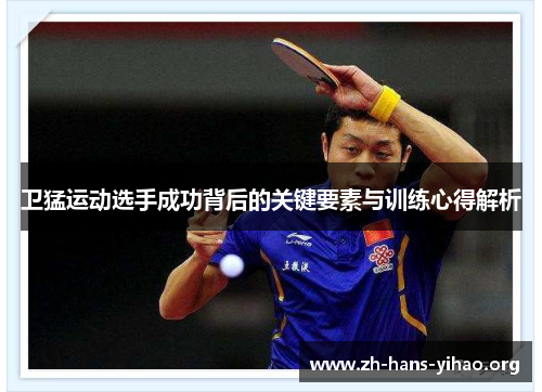 卫猛运动选手成功背后的关键要素与训练心得解析