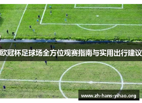 欧冠杯足球场全方位观赛指南与实用出行建议