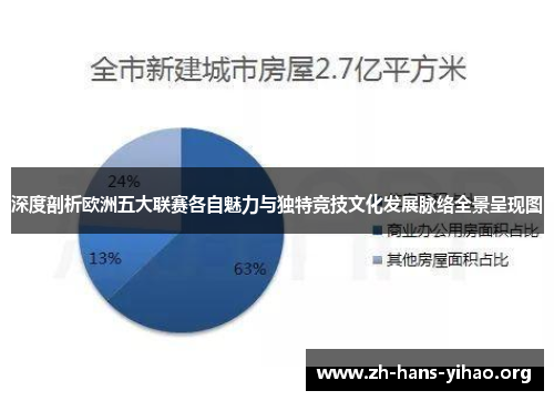 深度剖析欧洲五大联赛各自魅力与独特竞技文化发展脉络全景呈现图